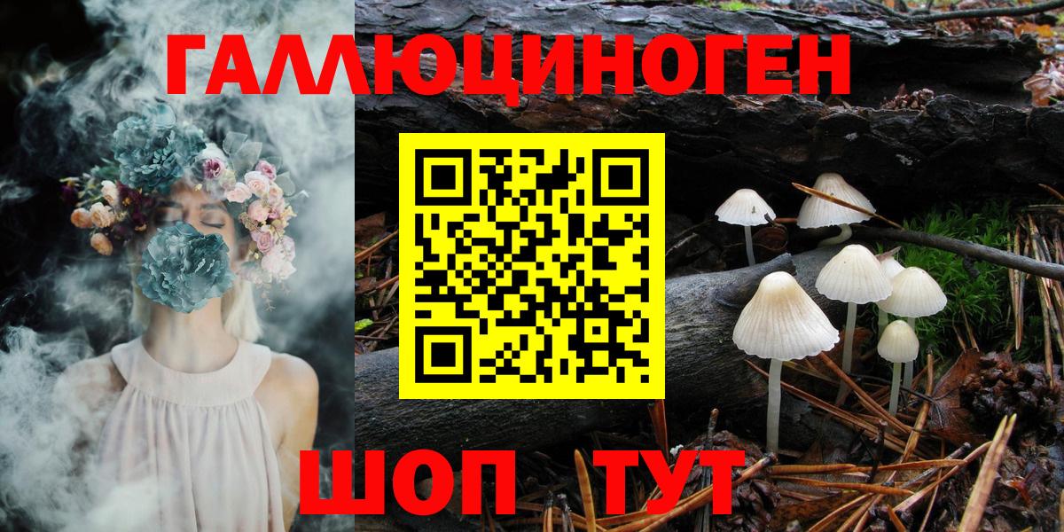Псилоцибиновые грибы Psilocybe Красный Сулин